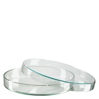 Petriskål 120x120mm av glas Petriskål 120x120mm av glas