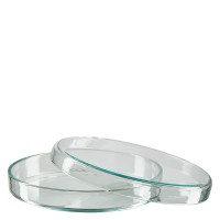 Petriskål 90x15mm av glas Petriskål 90x15mm av glas