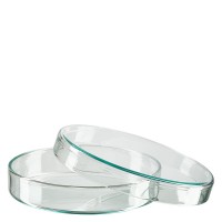 Petriskål 100x20mm av glas Petriskål 100x20mm av glas