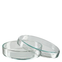 Petriskål 70x15mm av glas Petriskål 70x15mm av glas