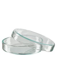 Petriskål 60x15mm av glas Petriskål 60x15mm av glas