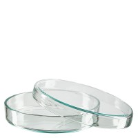 Petriskål 80x15mm av glas Petriskål 80x15mm av glas